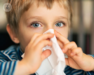 alergia alimentaria deteccion tratamiento niños