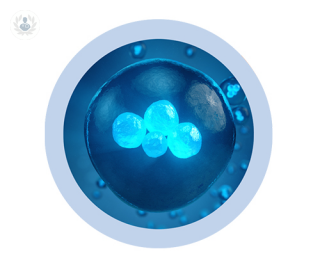 imagen células color azul