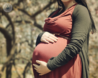 mujer embarazada posando