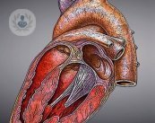 La imagen cardíaca diagnostica la salud de tu corazón