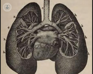 El tabaco es la causa principal del enfisema pulmonar