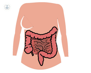gastroscopia endoscopia digestiva