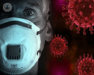 enfermedades causadas por virus y bacterias 