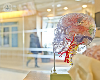 La cirugía cerebral y craneal busca solucionar todas aquellas patologías que afectan a la masa encefálica y órganos anexos.