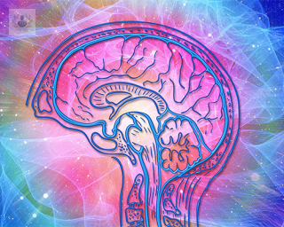 imagen cerebro colores