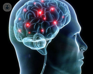 Lesiones cerebrales y alteraciones del comportamiento