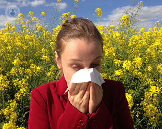 combatir la alergia
