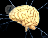 Este artículo trata la Estimulación Cerebral Profunda, un tratamiento efectivo para la Enfermedad de Parkinson.