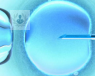 congelacion ovulos preservacion