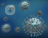 Virus influenza