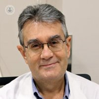 Dr. José María Lloret Espí