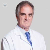 Dr. Fernando García de Lucas