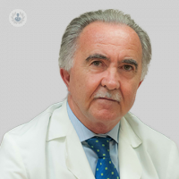 Dr. Carlos Hernández Fernández