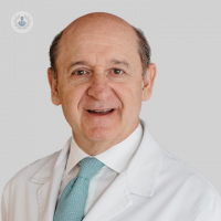 Dr. Alfonso Martínez de Carneros Gómez-Caminero