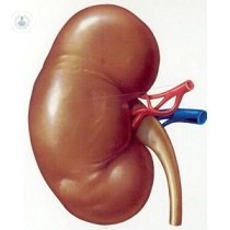 Renal transplantation is a conventional surgical procedure with splices
