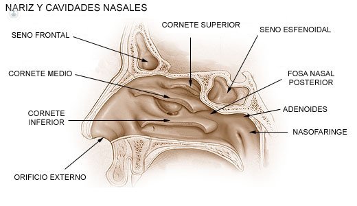 cierre tabique nasal