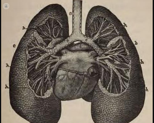 pulmonary emphysema