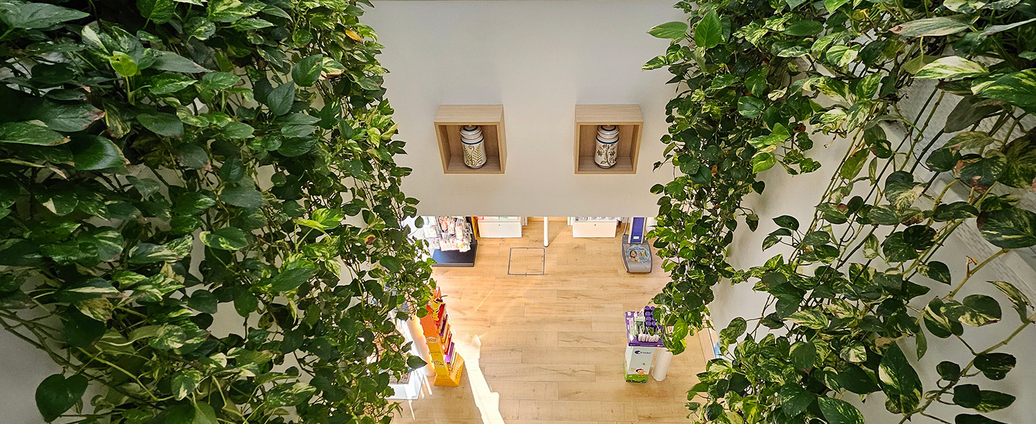 Farmacia Vasco de Gama