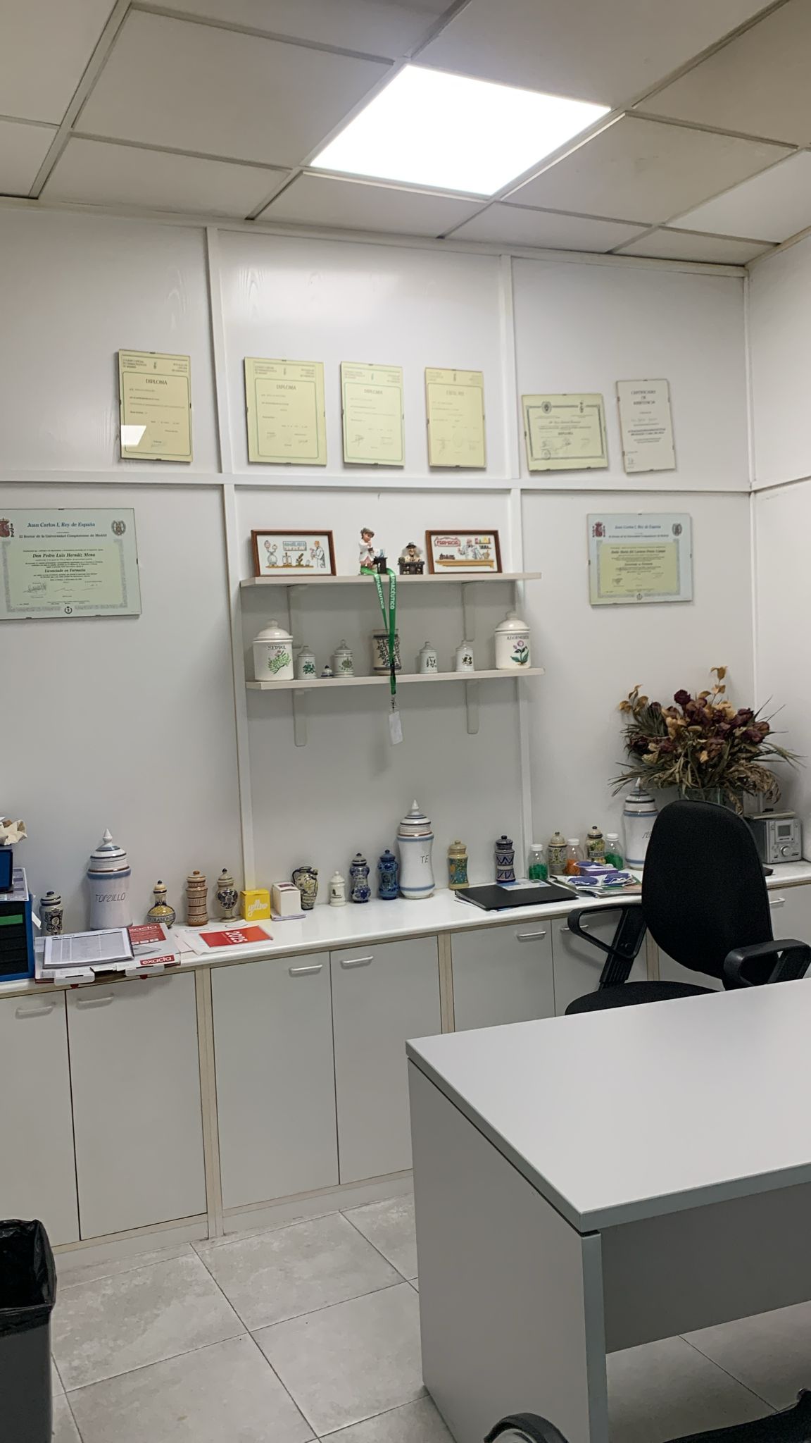 Farmacia Plaza Magdalena 