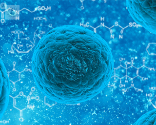 celulas madre adultas regeneracion teurapeutica top doctors