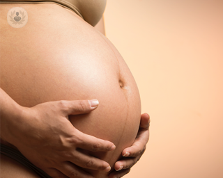 Durante el embarazo crecen las dudas, preguntas y consultas respecto al proceso.