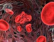 La anemia ferropénica es la más prevalente, afectando al 5% de la población mundial.