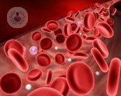 La sangre es un tejido que circula por capilares, venas y arterias. Su función es vital, ya que defiende de infecciones, interviene en el intercambio de gases y distribución de nutrientes.