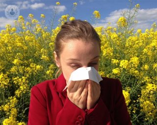 alergias mas comunes