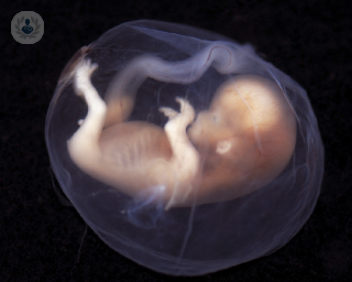 Detecta si el embrión en cuestión es portador de una enfermedad genética