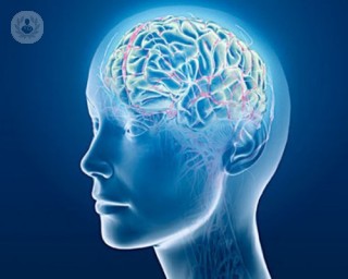 Durante la epilepsia se da un aumento excesivo de la actividad eléctrica cerebral