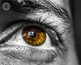 La visión con desprendimiento de retina