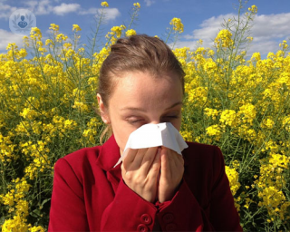 La primavera provoca la aparición de muchas alergias, sobre todo las relacionadas con el contacto al polen. Las alergias cutáneas son las más visibles. 
