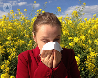 El asma, la rinitis alérgica, la rinoconjuntivits y las alergias a alimentos son las más frecuentes, especialmente en primavera.