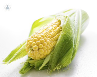 imagen de una mazorca de maíz madura