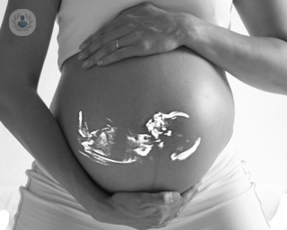 En la inseminación artificial se depositan los espermatozoides directamente en el útero