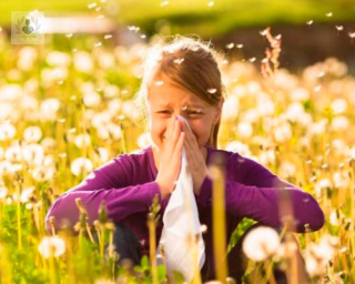 síntomas alergia primavera