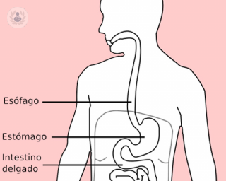 simptome interne de vegetaie varicoza