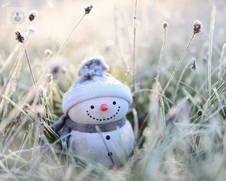 muñeco de nieve en la hierba
