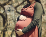 mujer embarazada posando