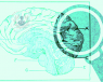La patología vascular cerebral o enfermedad cerebrovascular provoca cefaleas intensas