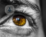 ojo_vision_vista_macula_retina