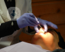 La doctora Ana Molina presenta una nueva técnica que permite acortar el tiempo habitual de un tratamiento de ortodoncia.