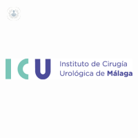 Instituto de Cirugía Urológica Málaga - ICU