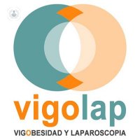 VigoLap
