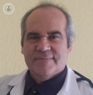 Dr. Vicente Roig Figueroa