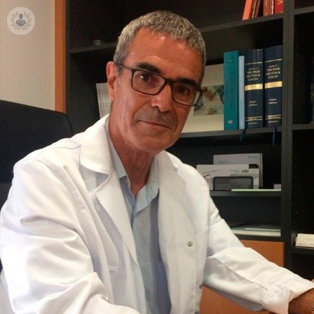 Dr. Lorenzo Viso Pons