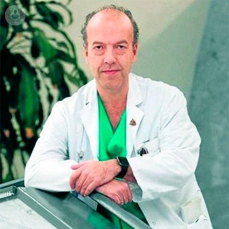Dr. Javier Moya González
