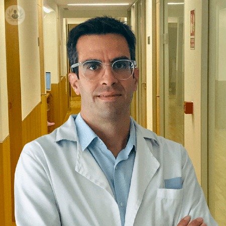 Dr. Luis Ignacio Casanova Peño
