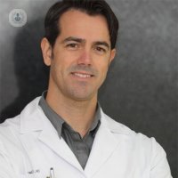 Dr. Luis Clavel Rojo