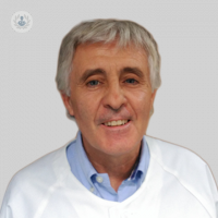 Dr. Gerardo Ginovart Galiana